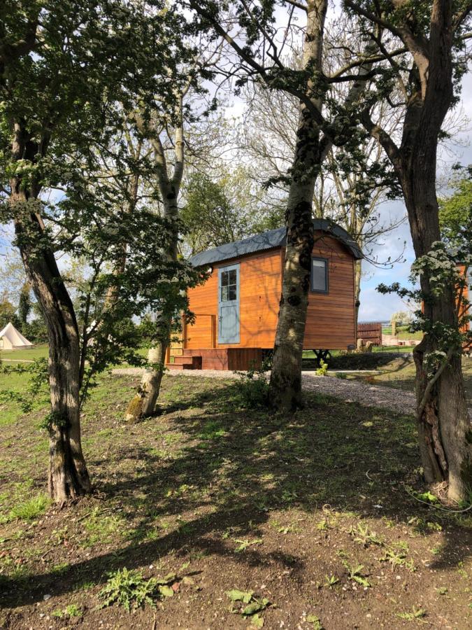 Oakwell holiday village Ramelton Exteriör bild